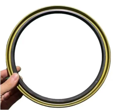Mechanical Oil Seal AP2861F AP3220F AP1336E AP2083F AP2861G BP3054F AP1336F BP3590E AP3053E BP3054G AP1706F BP3590F