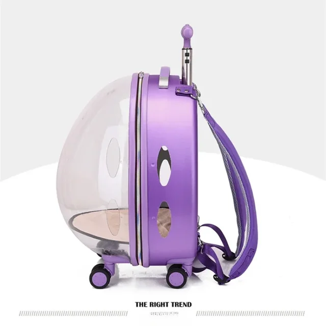 Cat Bag Breathable Case Weight 1-4kg 4