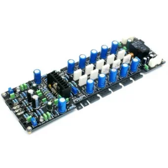

LME49810 Is Equipped with 400W Mono DC Servo Class A and B Power Amplifier Board (the Finished Product Has No Radiator)