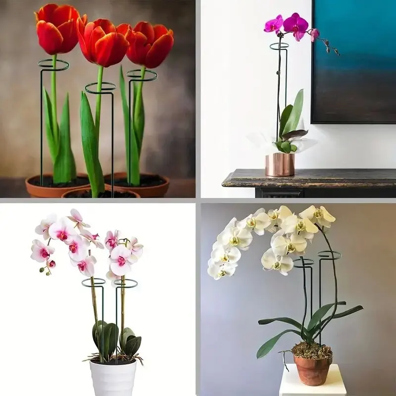5pcs, 16inch Garden Plant Stakes Plant Support Structure, Garden Metal Single Stem Flower Support Stakes, Planting