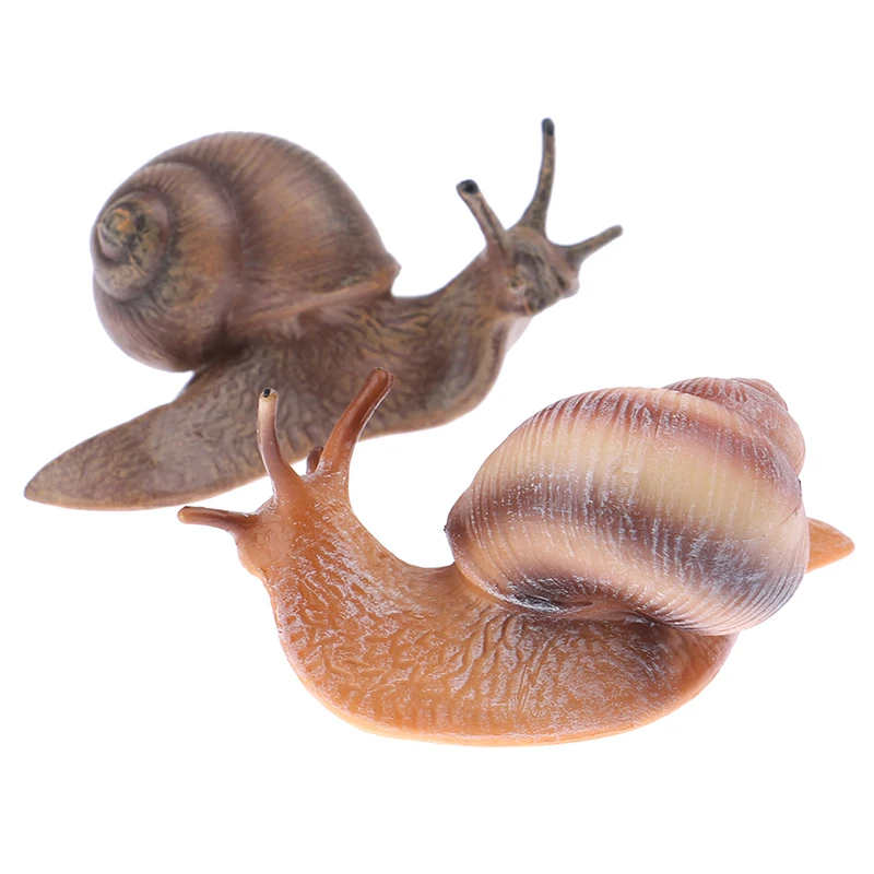 Simulation animal insect model mini animal snail growth cycle ornament 3