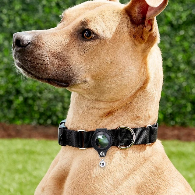 Collier Chien AirTag Apple, Étui en Silicone Réglable Anti-Perte