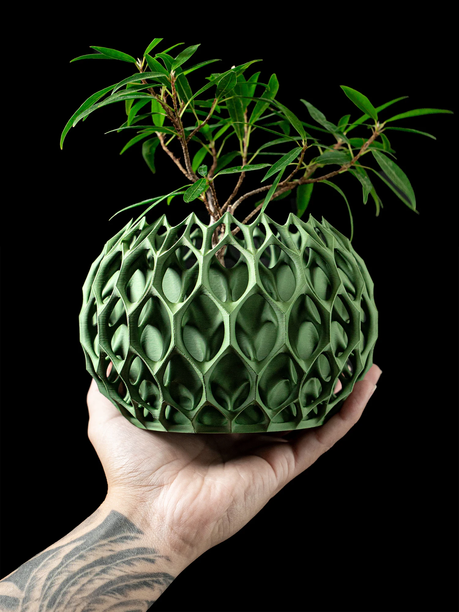 Picture of Modern Minimalist 3D Printed Plant Pot – Biodegradable Flower Planter ...