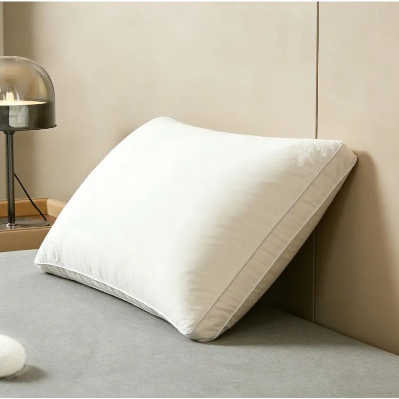 Luxury Mulberry Silk Pillow 2