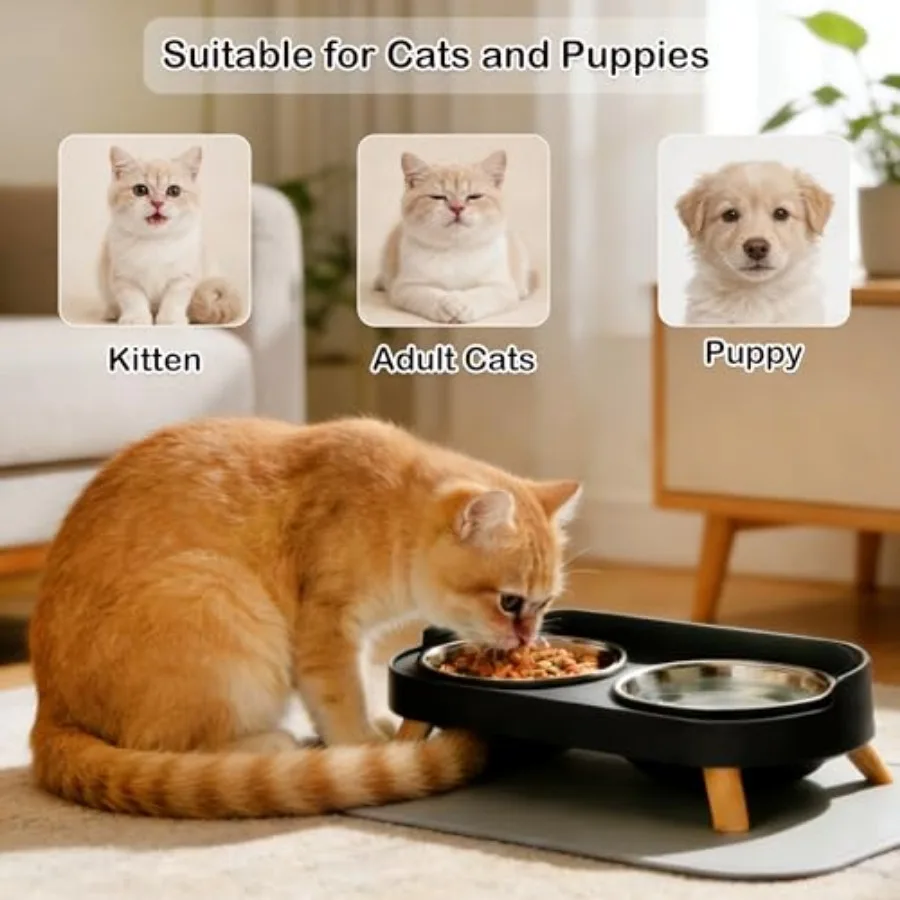 Elevated Cat Bowl Set with Mat 6