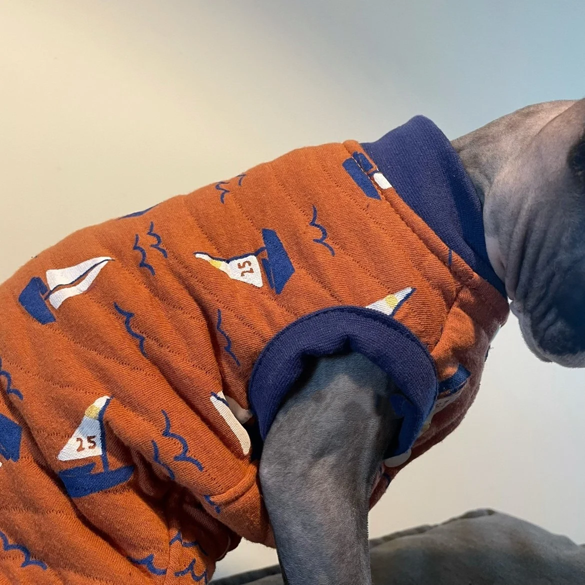 스핑크스 고양이용 부드러운 면 조끼, 새끼 고양이용 겨울 따뜻한 가디건, 가을 데본 렉스용 귀여운 민소매 코트, 면 패딩 처리