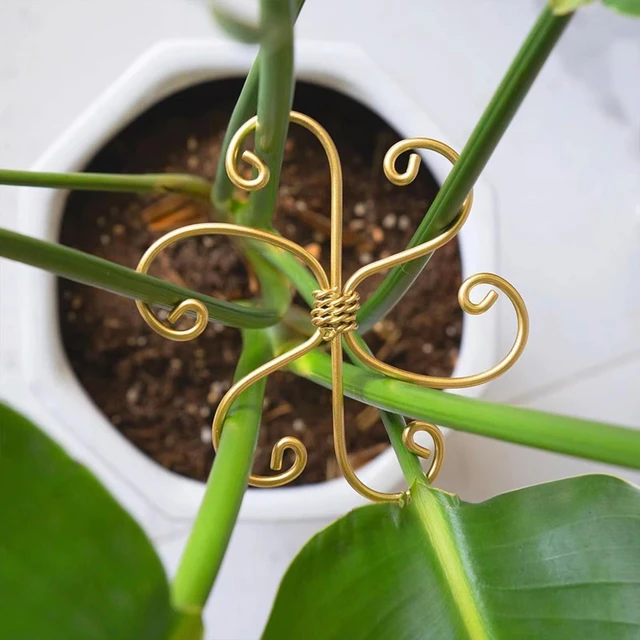 Metal Plant Climbing Bracket Flower Shaped Plant Holding Clip Green Plant Vine Climbing Golden Grapple Bracket 3