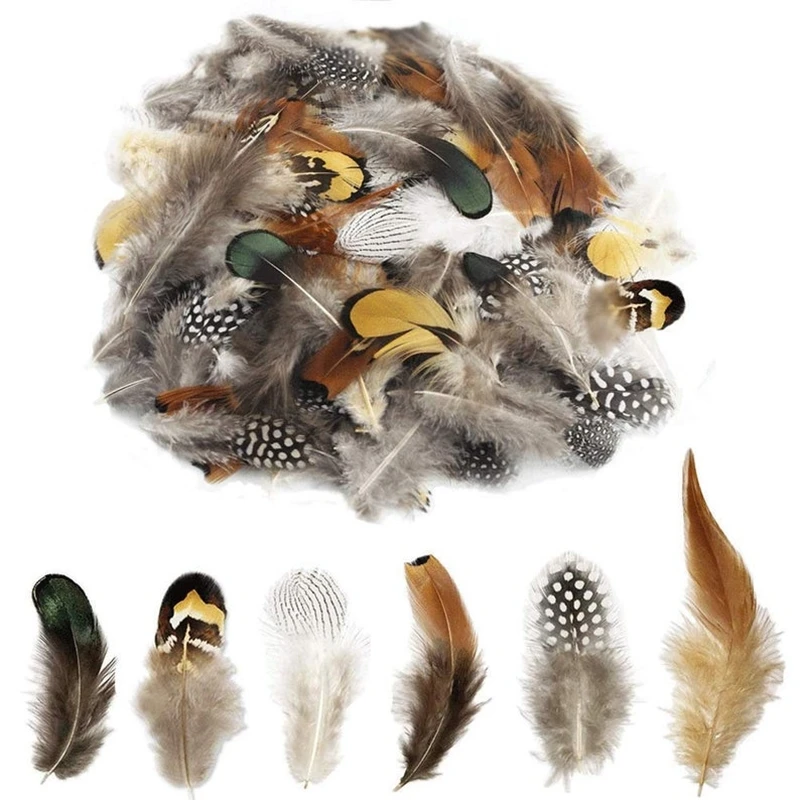 Multi-Style Natural Peacock Pheasant Feather Crafts Jewelry Making Accessories Decorative Feather 24/50 Pieces 5-15CM peacock feather decoration pheasant feathers craft feathers natural feathers