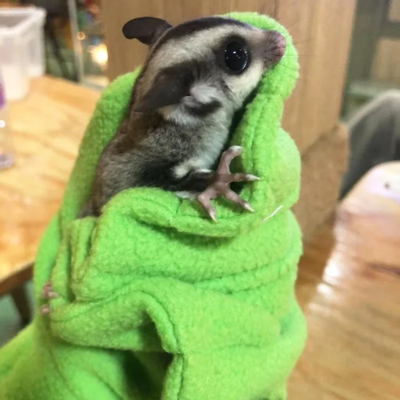 Anti bite gloves, honey bags, squirrels, flying squirrels, hamsters, pet warmth, scratch resistance, bathing, pet supplies pet cleaning tools