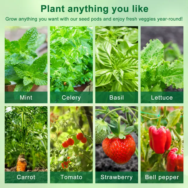 121 Százalékos Hidroponikus Tenyésztési Készlet Transzplantáció Újrahasznosítható Termesztési Rendszer Kosarak/Kupolák/Szivacsok Címkék Átlátszó - Image 4