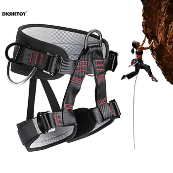 Climbing / Safety Harness 1