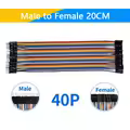 Male to Female 20CM