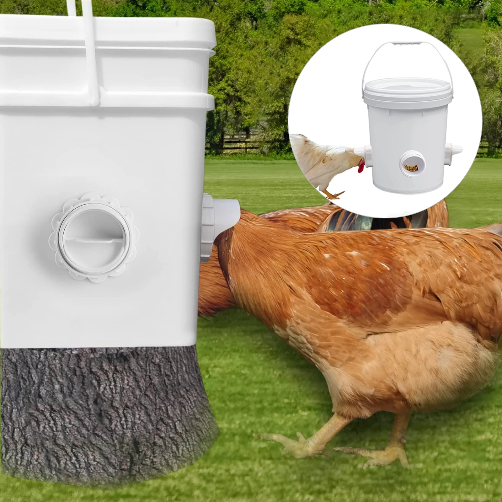 ⹰  ݷ   Ǵ, ⹰ , DIY ݷ Ʈ Ǵ, ٶ ߵ  Ǵ