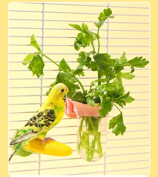 Parrot Hanging Food Feeder 1