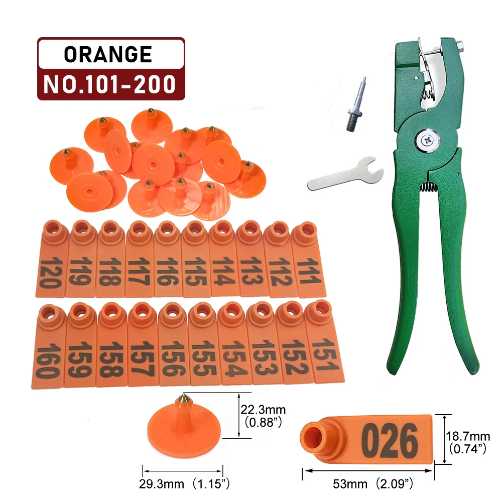 Orange NO.101-200