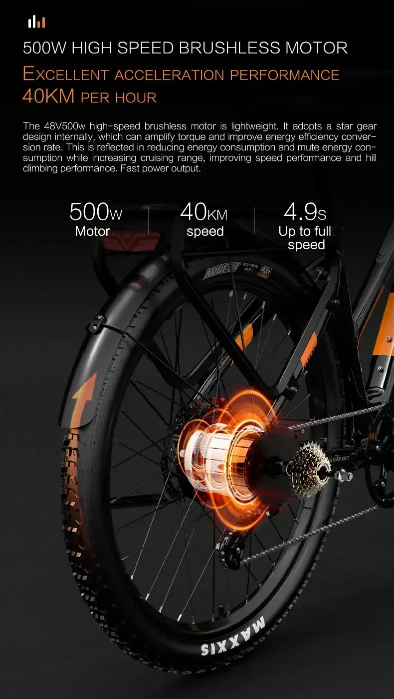 LANKELEISI MX600-PRO E-bike 500W Motor 48V20AH Battery Hydraulic