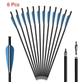 6Pcs BW