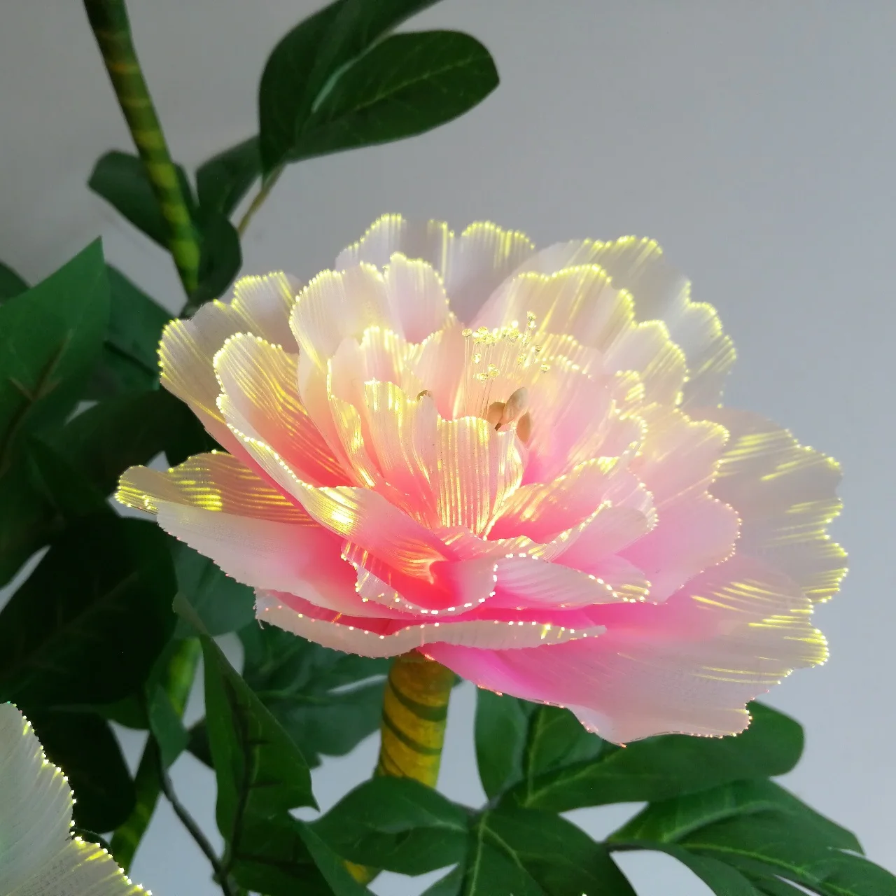 Led Lamp Peony Fiber Optic Flower Light - Color-Changing Immortal ...