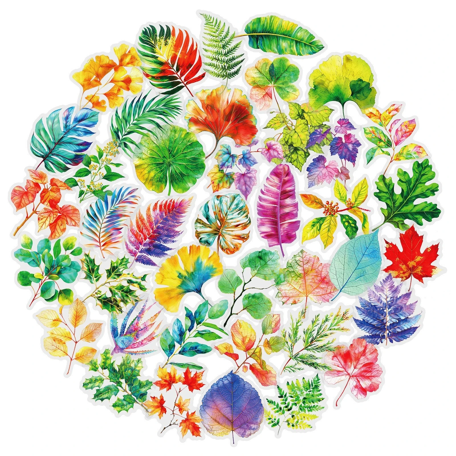 50PCS 다채로운 잎 PET 스티커 식물 잎 DIY 핸드 텐트 재료 장식 스티커 편지지 스티커