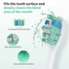 SEJOY Oral Cleaning Electric Tooth Brushes Long Lasting Smart Rechargeable Automatic Ultrasonic Electric Toothbrush 6