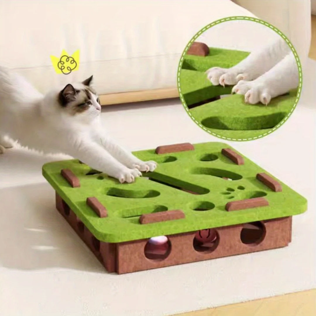 Interactive Cat Puzzle Box