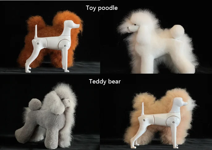 New Model Dog 3-in-1 Mannequin for Pet Grooming - China Model Dogs and for  Grooming Salon price