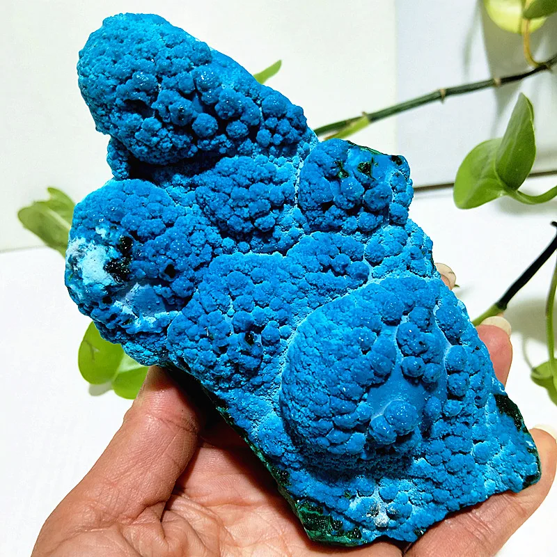 

Natural Stone Chrysocolla Crystal Raw Rock Mineral Specimen Room Decor Feng Shui Ornaments Chakras Reiki Healing Stones