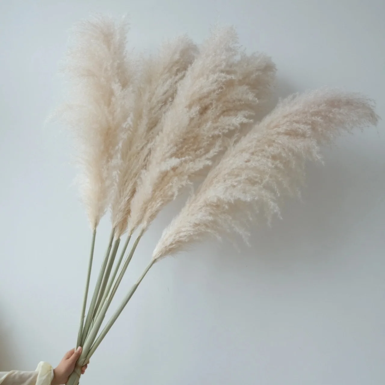 

110cm Large Pampas Grass Dried White Flowers Wedding Supplies Country Decoration Dry Flowers Bouquet Gift Floral DIY Decoration