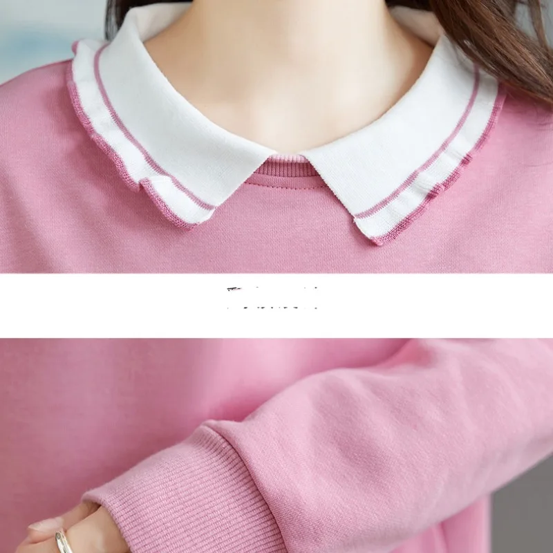 Spring Autumn Women's Pullover Round Neck Solid Letter Embroidered Animal Flocking Lantern Long Sleeve Hoodies Casual Tops