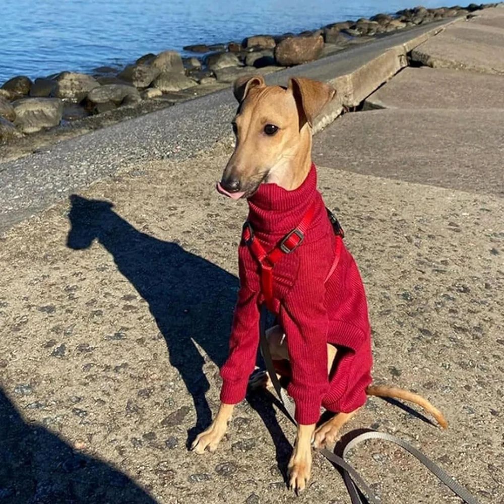 Winter Turtleneck Dog Overalls 4