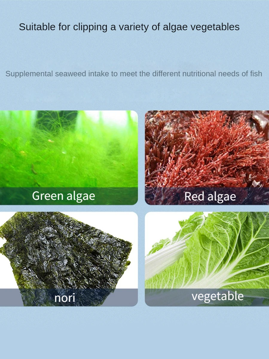 VastOcean Veggie-Mag Feeding Clip Aquarium Fish Tank Strong Magnetic Seaweed Vegetable Clip