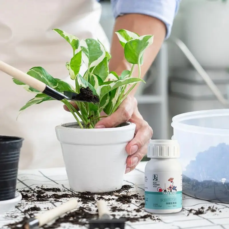 Liquid Rooting Stimulator 50ml Liquid Root Growth Booster Plant Growth Enhancer For Succulents Flowers Root Stimulator
