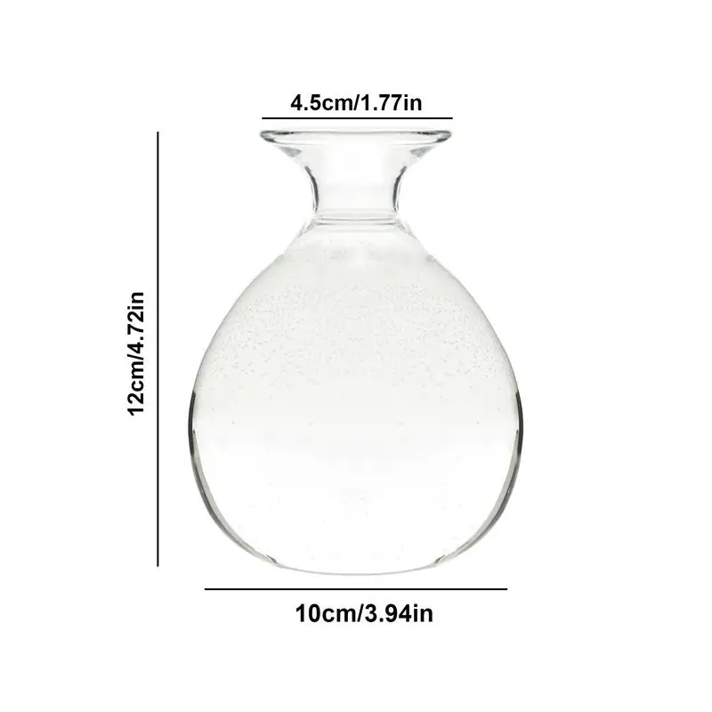 Avocado Seed Starters Vase Transparent Glass Vase Avocado Seed Starters Vase Seed Growing Kit For Gardening Lovers Home Decor 6