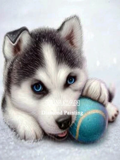 Kit Diamond Painting 5D Husky Cucciolo, 30x40 Cm, Tela Adesiva Con Diamanti Rotondi Colorati, Inclusi Strumenti