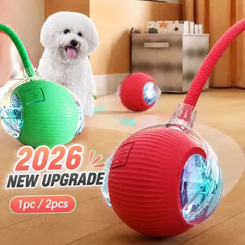 Smart Automatic Dog Ball 1