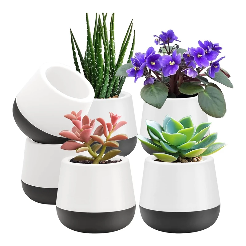 

Succulent Pots 3 Inch Self Watering Plant Pot Cactus Planter Pots With Drainage Mini Pots For All House Plants 6Pcs 6Piece
