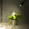 Plug Wired Flexible 3 Watts 3W Gooseneck Led Wall Light Sconce Lamp Lighting for Bedroom Reading Bathroom with Plug, black white 5
