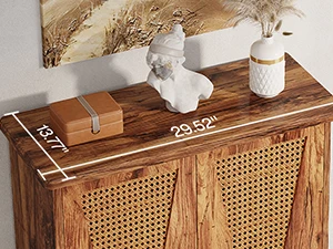 shoes cabinet with doors shoe organizer cabinet