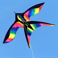 Large Swallow Kite Single Line Vivid for Outdoor Games Activities 1