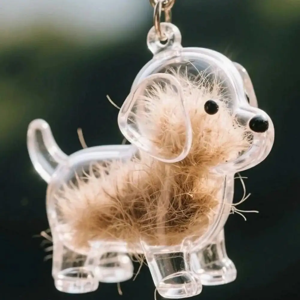 Transparent Pet Hair Storage Keychain Pendant