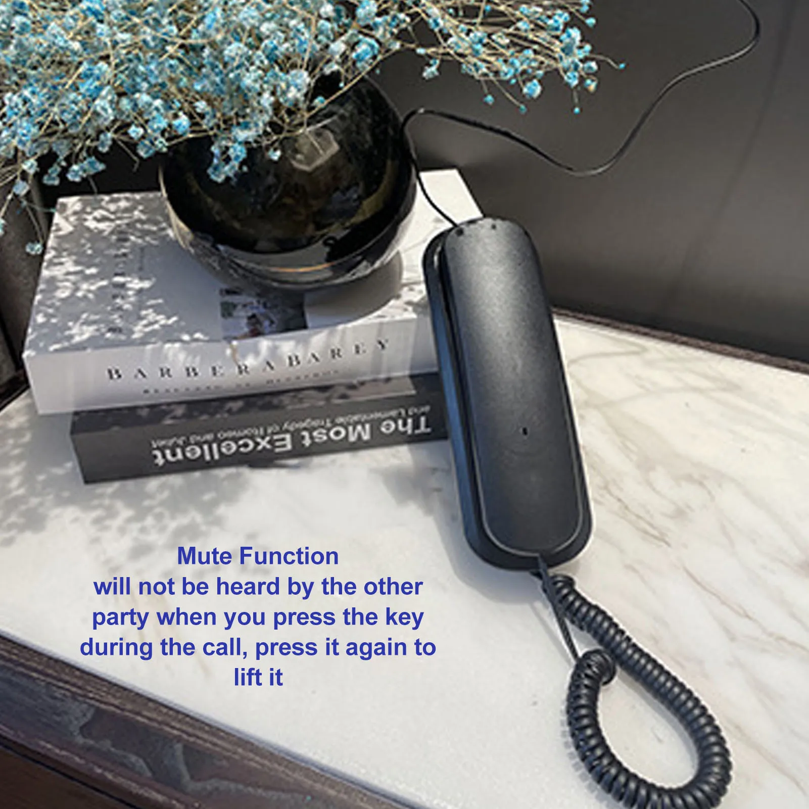 Slide image d704f5136cf64c1aa7b7a329797f0fa5