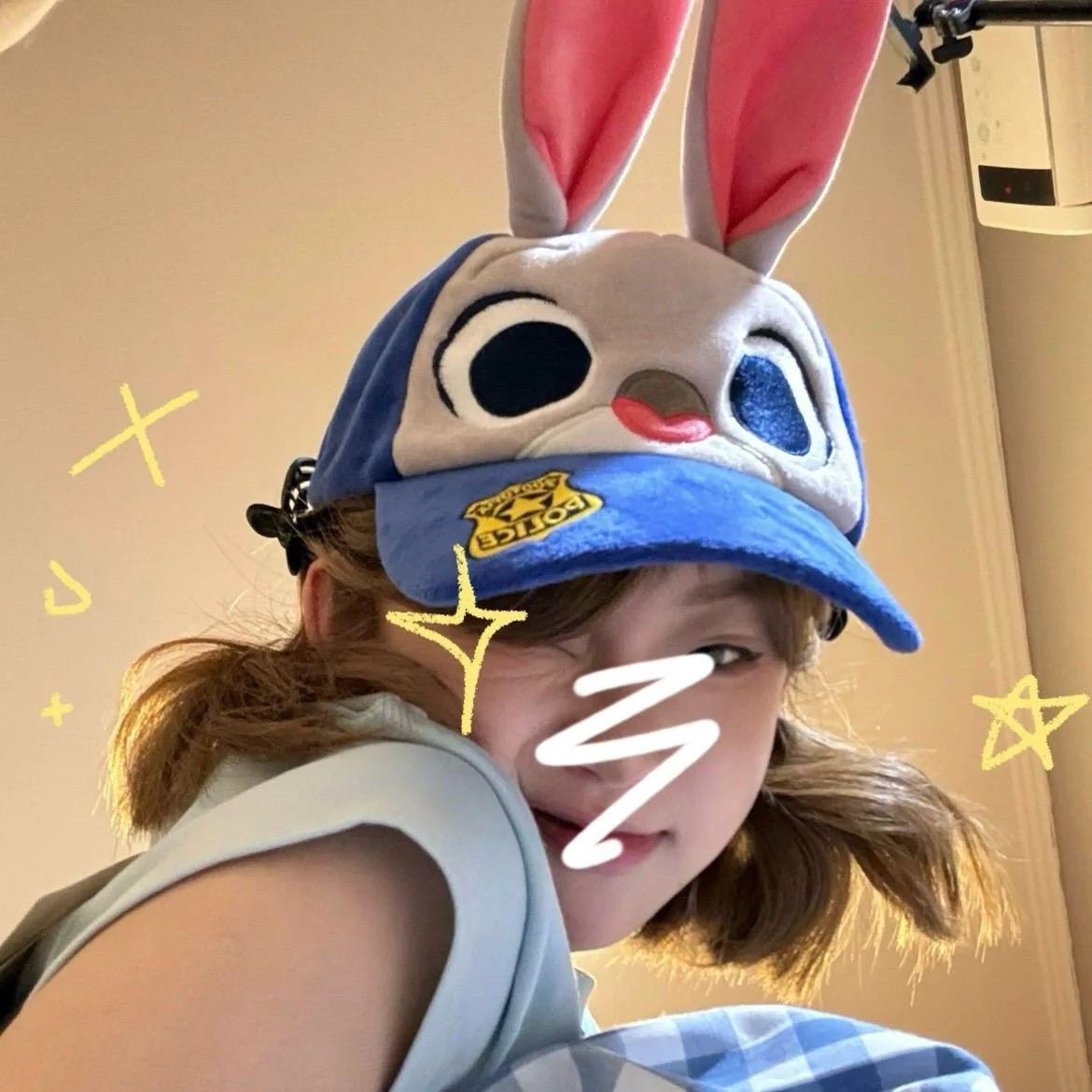 S0db5583fbf0146d7befb00bd93d83feda - Zootopia Merch