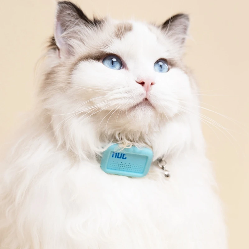 Nut Waterproof Bluetooth GPS Pet Locator Anti-Lost Collar Dog Cat Smart Positioning Tracker Positioning