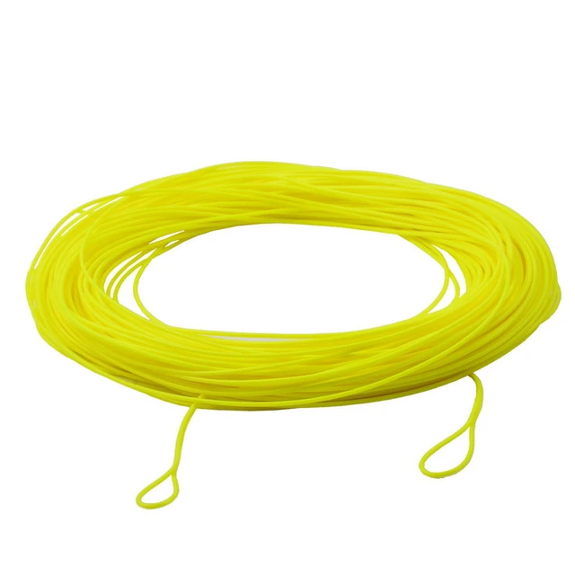 Fly Fishing Line 100FT/30.5M Weight Forward Floating Line 2 Loops