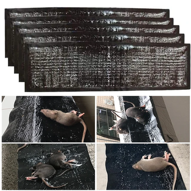 Egér Tábla Ragacsos Patkány Ragasztócsapda Egerek Csapdája Nem Mérgező Kártevőirtó Elutasítás Gyilkos 120 Cm-Re