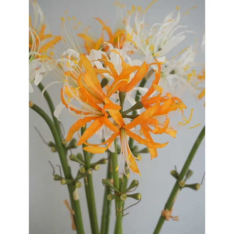 Lily様　ご依頼品 Aqumotic Artificial Red Spider Lily Bulbs 60cm 5pcs