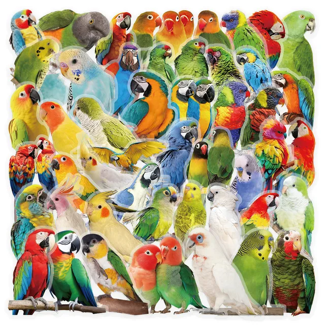53Pcs Parrot Pattern Stickers for Journal & Scrapbook Decoration Sticker Story Store 1