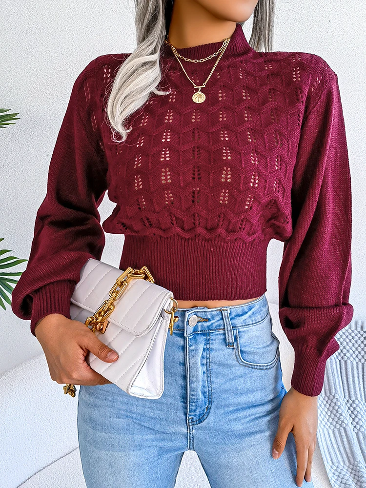Crop Top Knitted Sweater 2