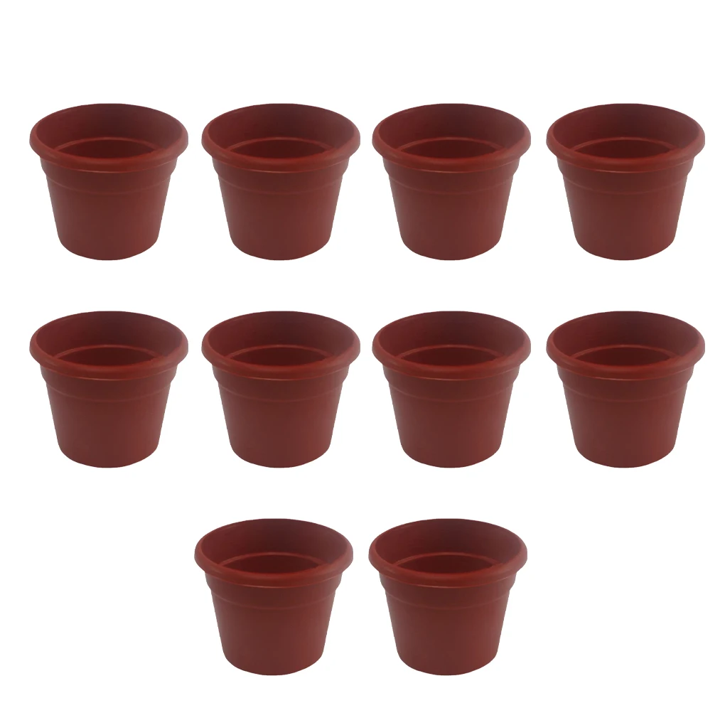 

10 шт., миниатюрные растения