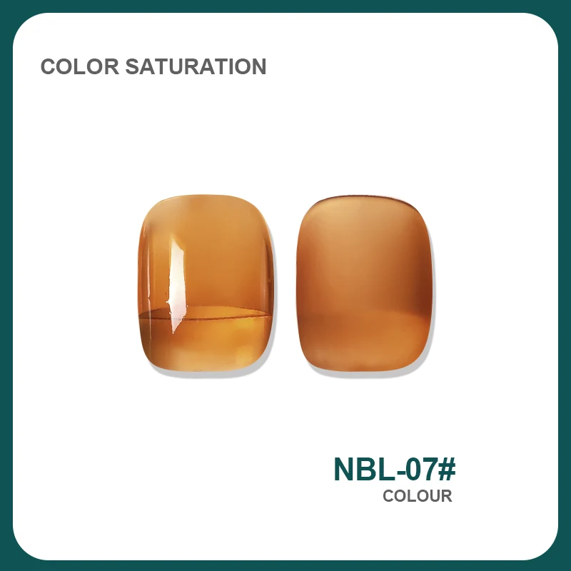 NBL 7